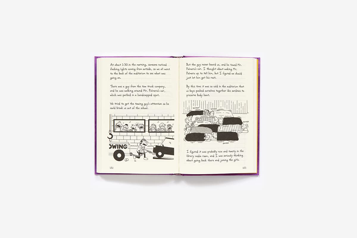 Diary of a Wimpy Kid #5: The Ugly Truth