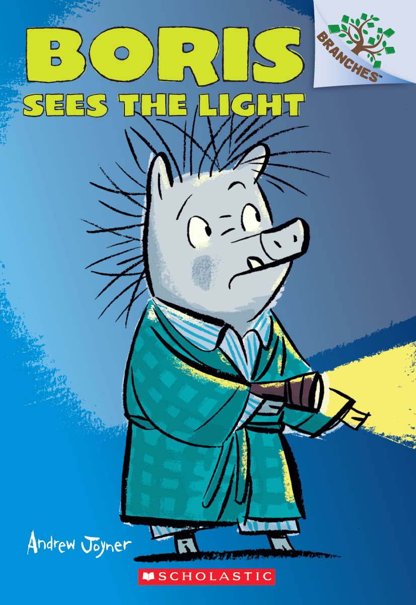 Boris #4: Boris Sees the Light (A Branches Book)