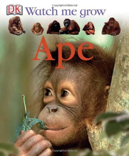 Dk Watch Me Grow Ape