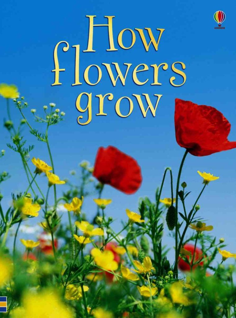 How Flowers Grow (Usborne Beginners, Level 1)