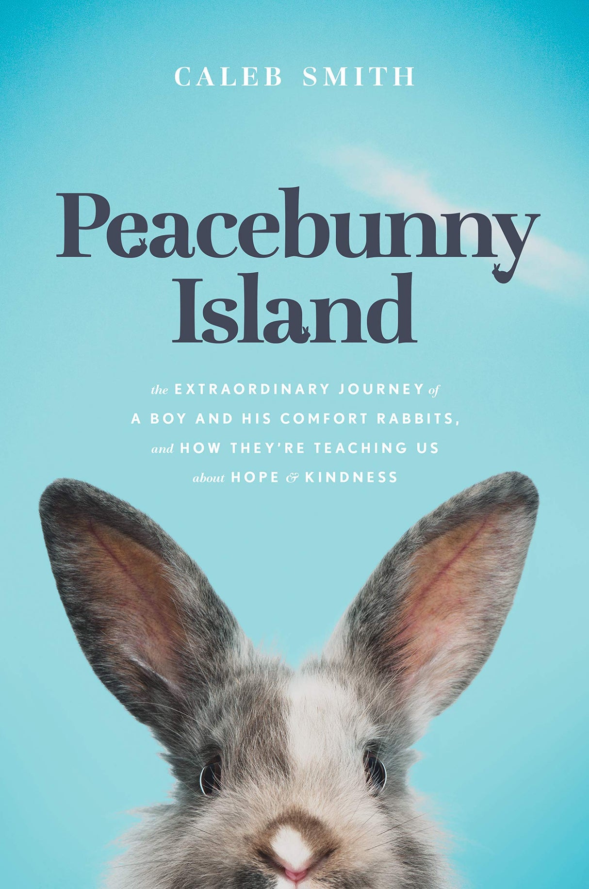 Peacebunny Island: The Extraordinary Journey of a Boy and His Comfort Rabbits, and How They’re Teaching Us about Hope and Kindness